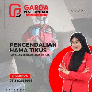 Ahli Basmi Tikus Terdekat