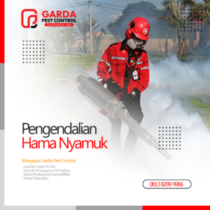 Jasa Fogging Nyamuk Terdekat di Pekalongan | Ahlinya Pembasmi DBD