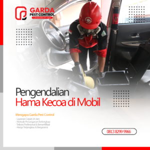 Jasa Basmi Kecoa Mobil Pekalongan | Proses Cepat, Aman & Bergaransi