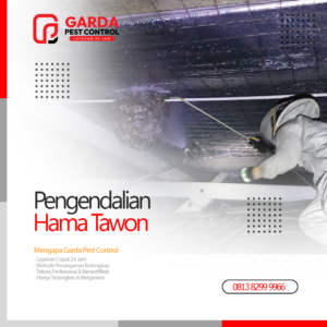 Jasa Pembasmi Tawon Terdekat di Pekalongan | Cepat & Bergaransi