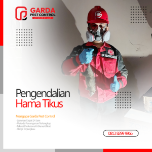 Jasa Pengusir Tikus di Pekalongan | Metode Terlengkap