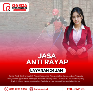 Jasa Anti Rayap di Sidoarjo Ampuh Membasmi Tanpa Merusak Lantai