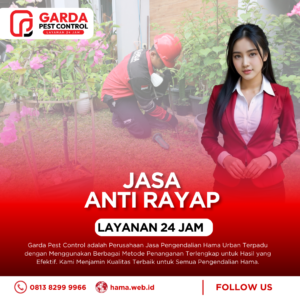 Jasa Anti Rayap di Surabaya Ampuh Membasmi Tanpa Merusak Lantai
