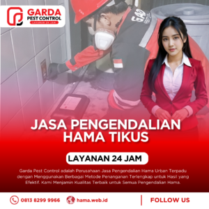 Jasa Fogging Kecoa Mobil Basmi Koloni Kecoa di Dalam Dashboard dan Jok