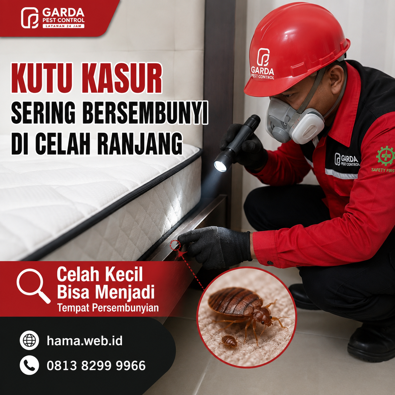 Jasa Basmi Kutu Kasur di Tegal dan Panduan Penanganan Tuntas