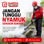 Jasa Fogging DBD Solo Panggilan 24 Jam