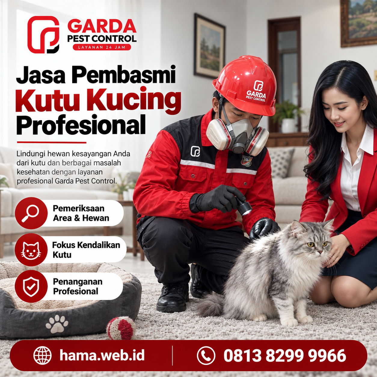 Jasa Spesialis Pembasmi Kutu Kucing Bandung